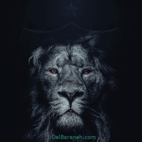  عکس پرسپولیس برای استوری