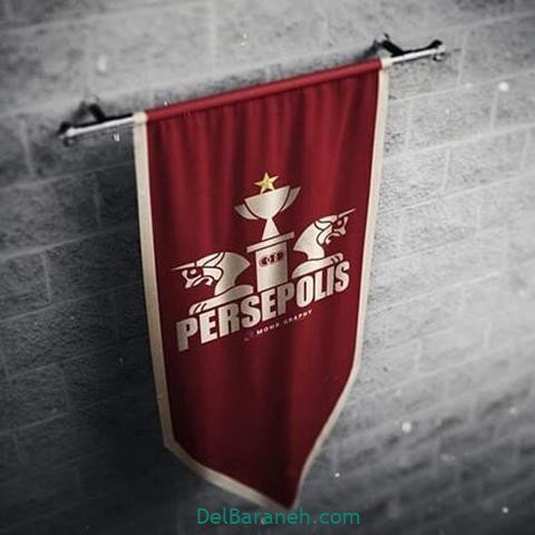  عکس پرسپولیس برای استوری