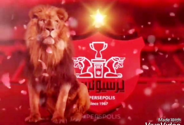  عکس پس زمینه پرسپولیس شیر