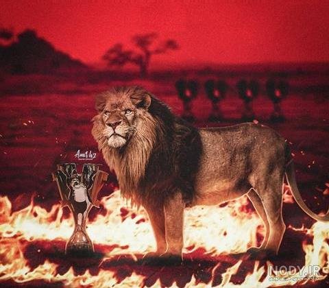  عکس پس زمینه پرسپولیس شیر