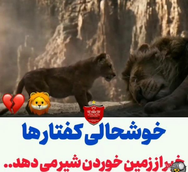  عکس پس زمینه پرسپولیس شیر