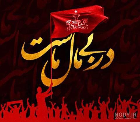  عکس پس زمینه پرسپولیس شیر