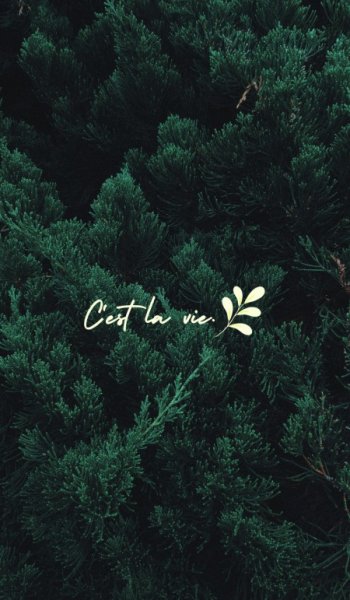  عکس برای استوری