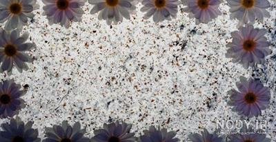  عکس خالی برای نوشتن متن غمگین