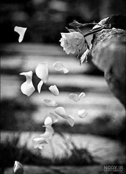  عکس خالی برای نوشتن متن غمگین