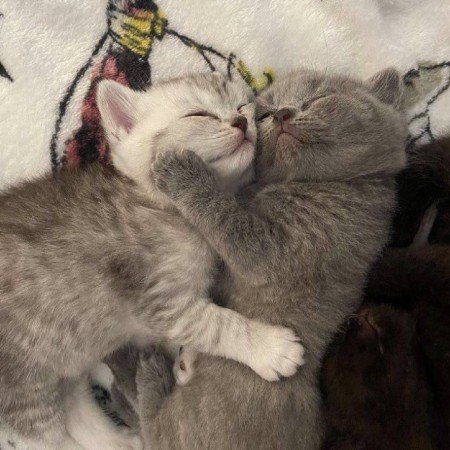  عکس غمگین بدون متن عاشقانه