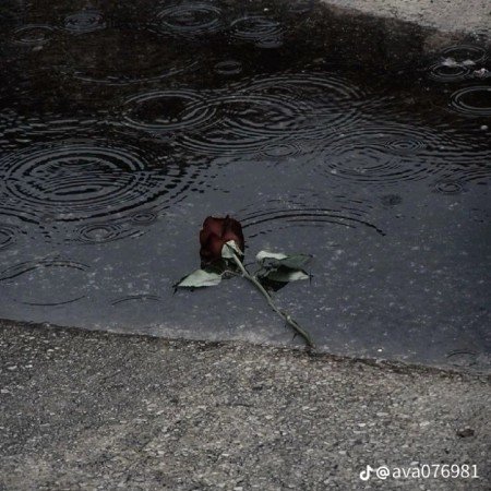  عکس غمگین بدون متن عاشقانه