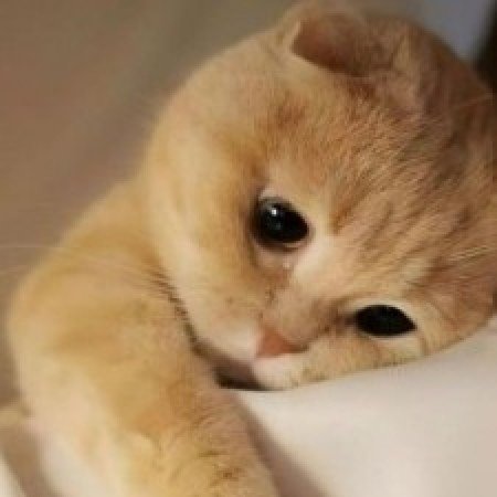  عکس غمگین جدید