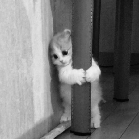  گالری عکس غمگین