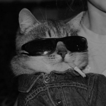  عکس پروفایل غمگین بدون متن پسرانه