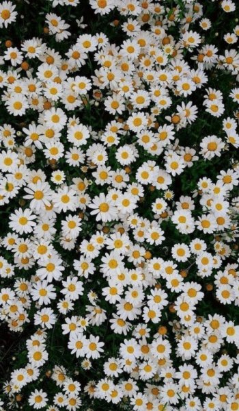  عکس برای استوری اینستا