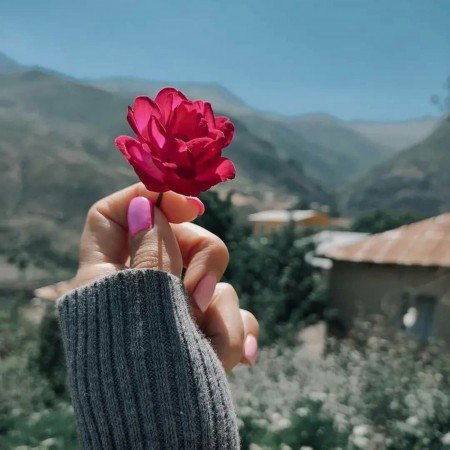  عکس برای استوری اینستا