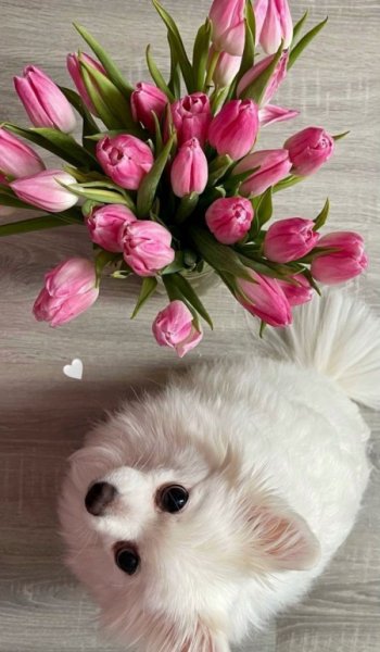  عکس برای استوری اینستا