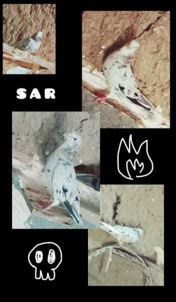  عکس برای استوری اینستا