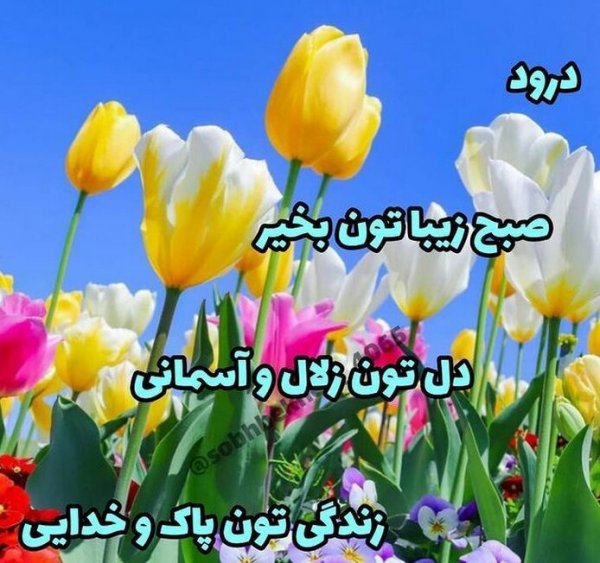  عکس برای استوری اینستا صبح بخیر