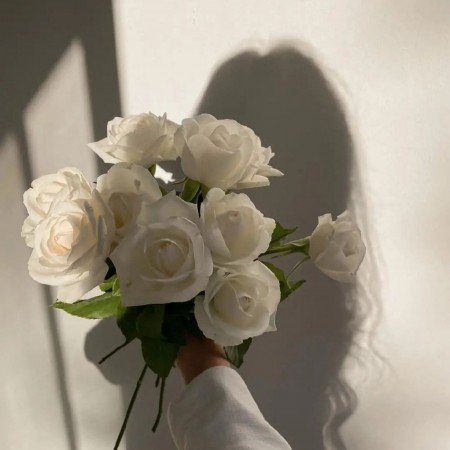  عکس برای استوری اینستا دخترونه