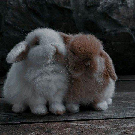  عکس خاص و زیبا