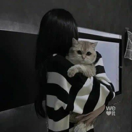  عکسهای بسیار زیبا