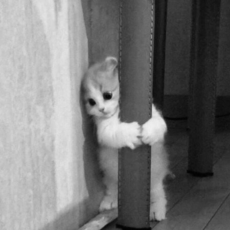  عکسهای بسیار زیبا