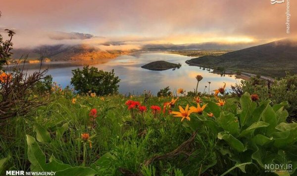  عکس گل و منظره زیبا برای پروفایل