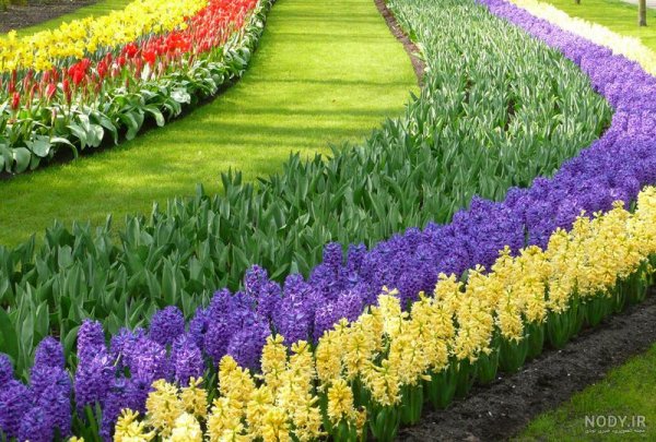  عکس گل و منظره زیبا برای پروفایل