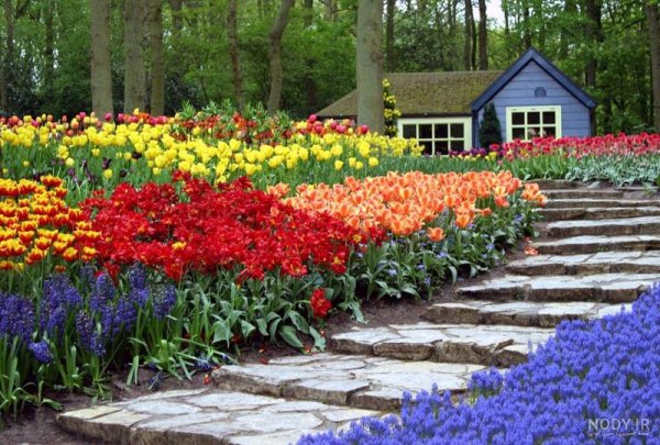  عکس گل و منظره زیبا برای پروفایل