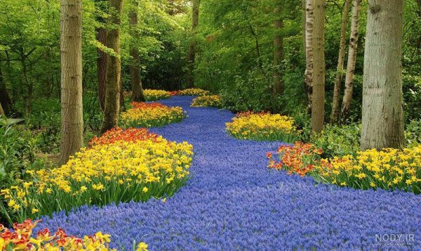  عکس گل و منظره زیبا برای پروفایل