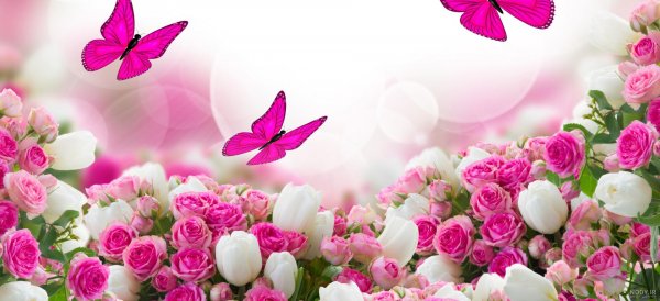  عکس گل و منظره زیبا برای پروفایل