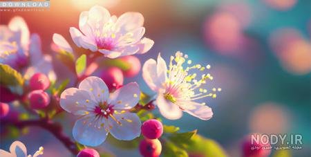  عکس گل و منظره زیبا برای پروفایل