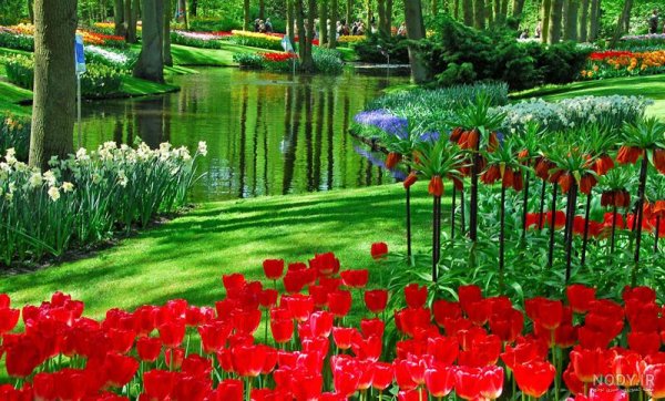  عکس گل و منظره زیبا برای پروفایل