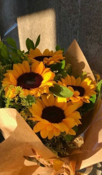  عکس طبیعت واقعی برای پروفایل