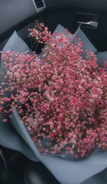  عکس گل های زیبای جهان