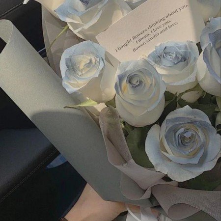  عکس گل های زیبای جهان