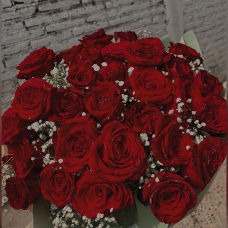  عکس گل های زیبای جهان