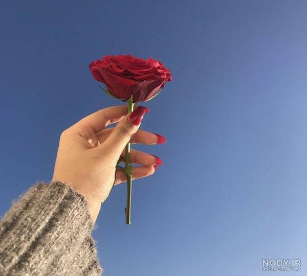  عکس گل و بلبل برای پروفایل