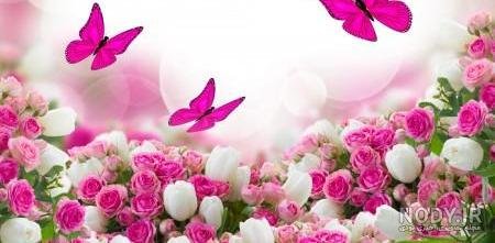  عکس گل و بلبل برای پروفایل