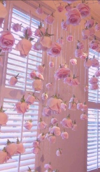  عکس زیباترین گل جهان واقعی