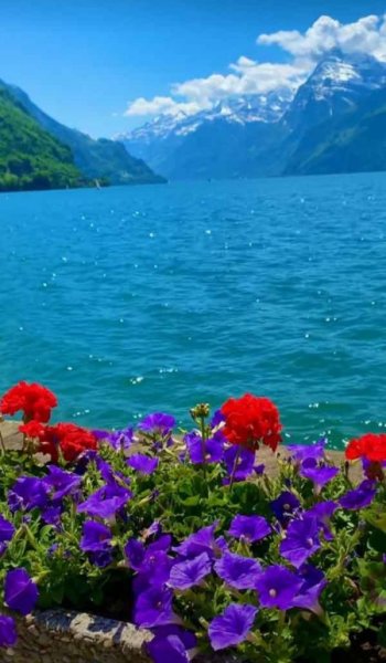  عکس زیباترین گل جهان واقعی