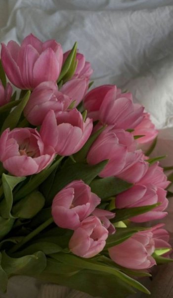  عکس زیباترین گل جهان واقعی