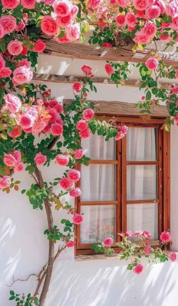  عکس زیباترین گل جهان واقعی