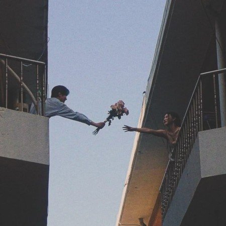  عکس زیباترین گل جهان واقعی