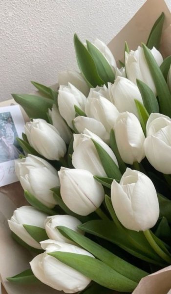  عکس زیباترین گل جهان واقعی