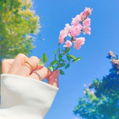  عکس گل طبیعی برای پروفایل