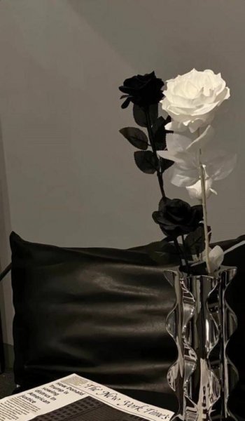  عکس گل طبیعی برای پروفایل