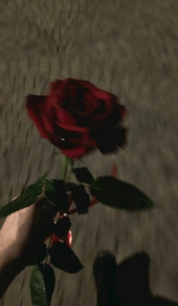  عکس گل طبیعی برای پروفایل