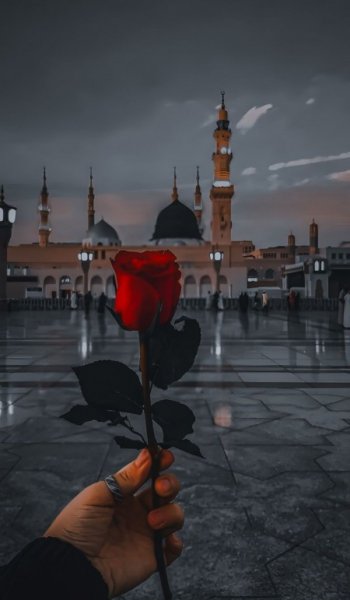  عکس گل طبیعی برای پروفایل