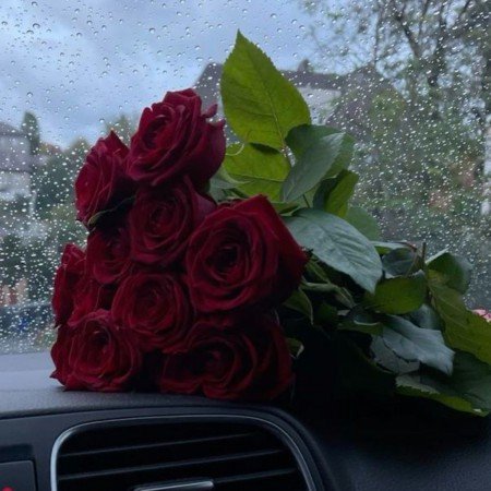  عکس گل طبیعی برای پروفایل