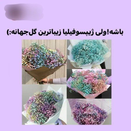  عکس گل طبیعی برای پروفایل