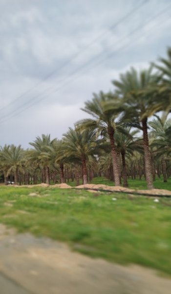  عکس طبیعت واقعی