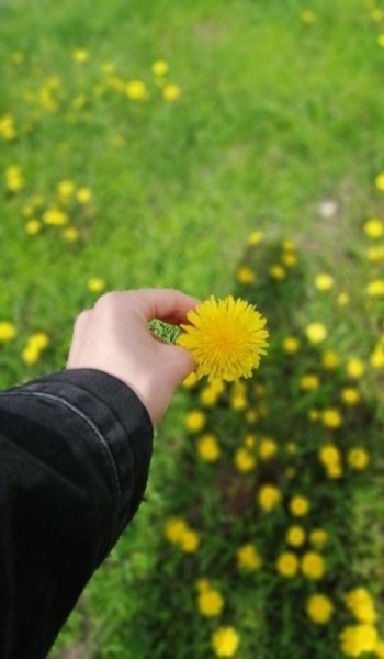  عکس طبیعت واقعی